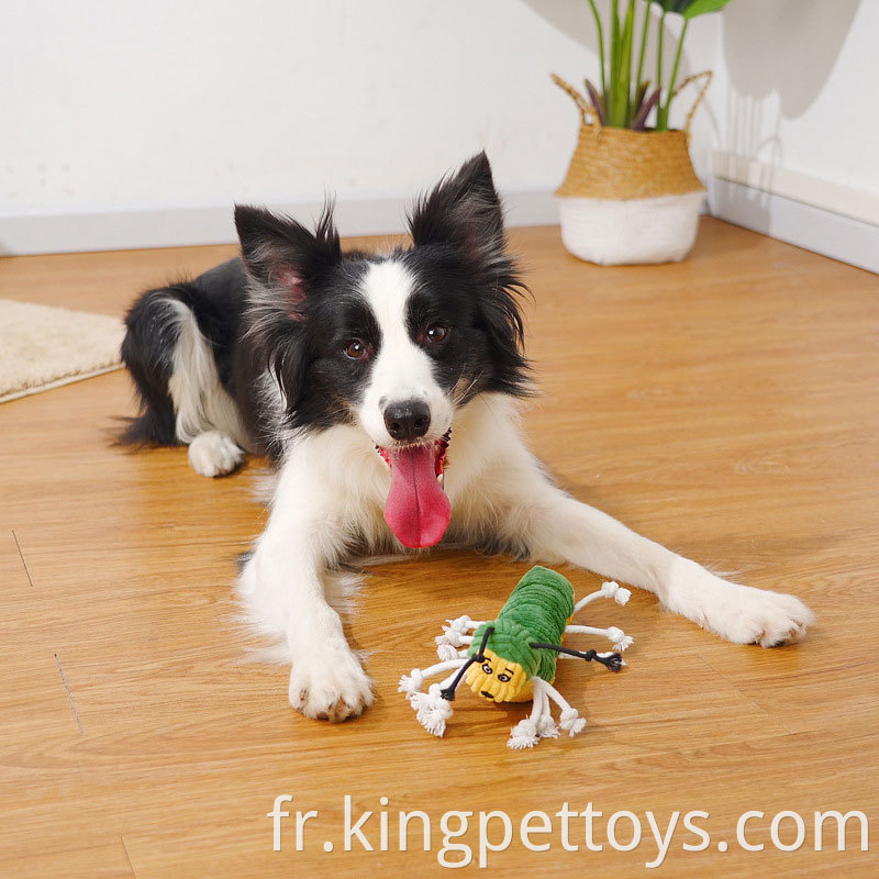 Squeaky Pet Toy Plush